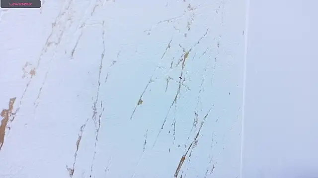 Chat XXX en directo de alexa_muz