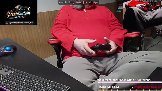 Show webcam de DeanonCam