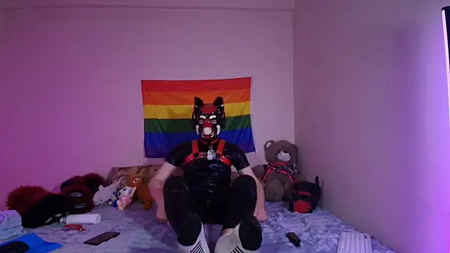 K9_GoodBoy: διαδικτυακό σόου στην κάμερα