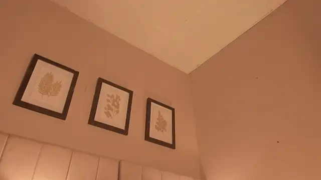 electra_a 现场XXX聊天