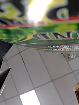 Show Webcam de Bakedroll333