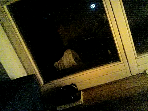 Webkamerová show SirNefastus