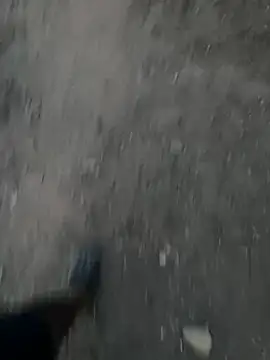 Black-mamba-madingon Webbikameraesitys