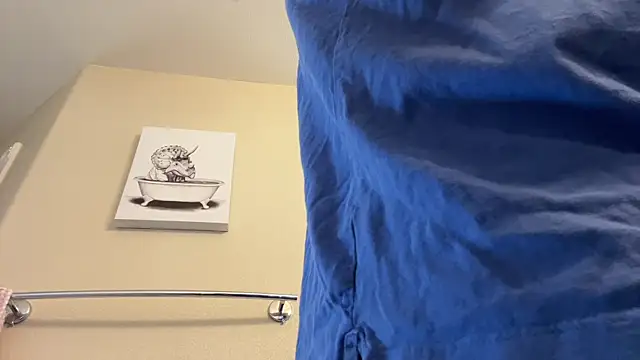 Show Webcam de alexmannd