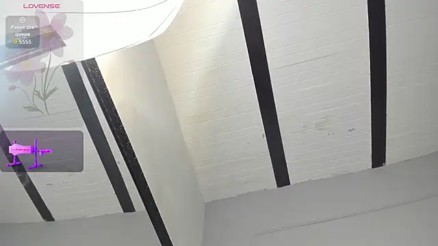 Chat XXX ao vivo de Nahomycarterr