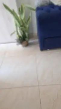 Chat +18 de Adrilovechocolate ao vivo