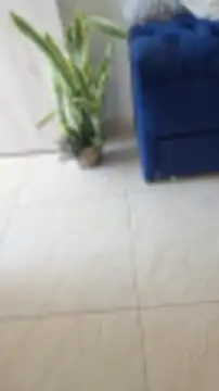 Adrilovechocolate Live XXX-Chat