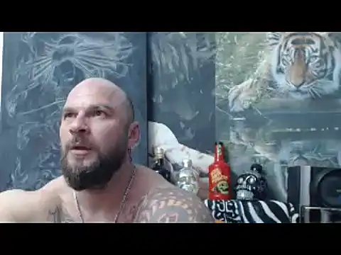 viking_30 Show in webcam