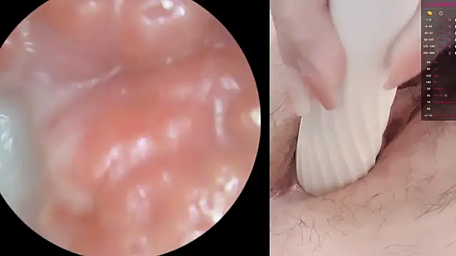 sunny-ly 网络视讯表演