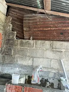 davidjan1996 Webcam show