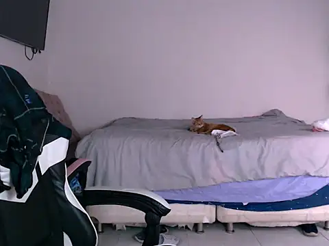 tatsumi_naon Live XXX chat