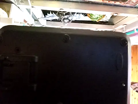 blackninja66 webkamerás műsora