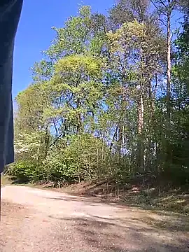 Biknight: вебкам-шоу