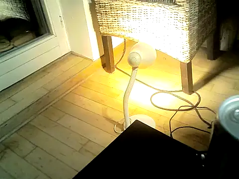 SirNefastus Live XXX-chat