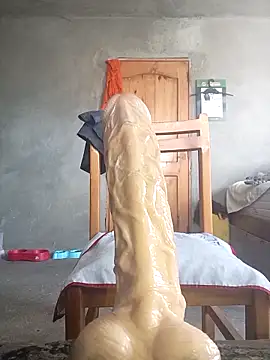 Webkamerová show venososx