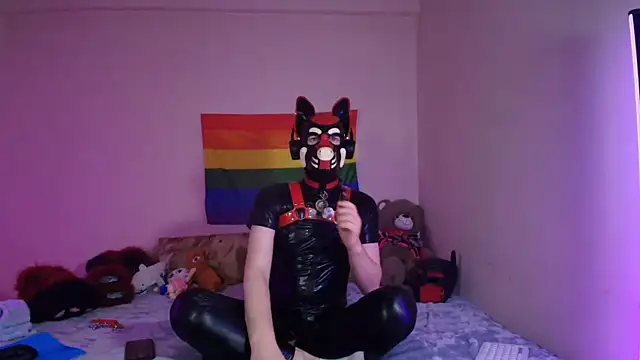 عرض كام K9_GoodBoy