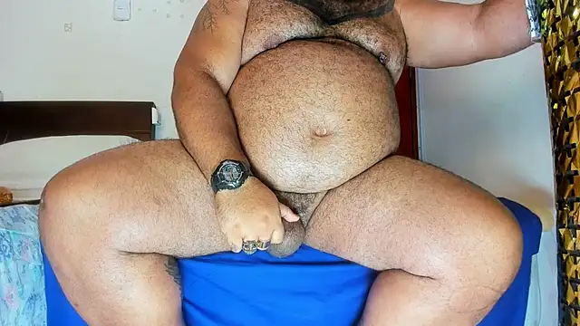 Bearspigdirty: διαδικτυακό σόου στην κάμερα