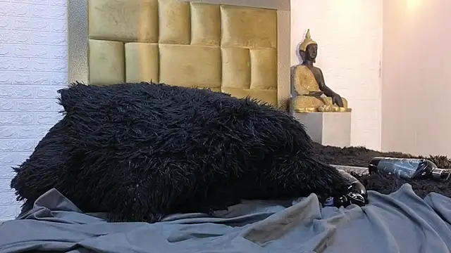 ximenawilliamss 라이브 XXX 채팅