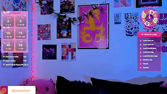 Show webcam de johnnyalx