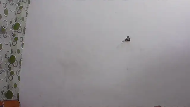 hard_to_do__'s Live XXX Chat