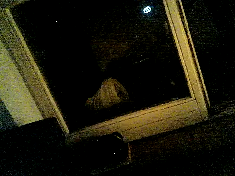 Webkamerová show SirNefastus