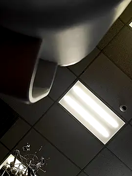 Show webcam de Bakedroll333