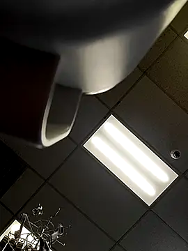 Show webcam de Bakedroll333