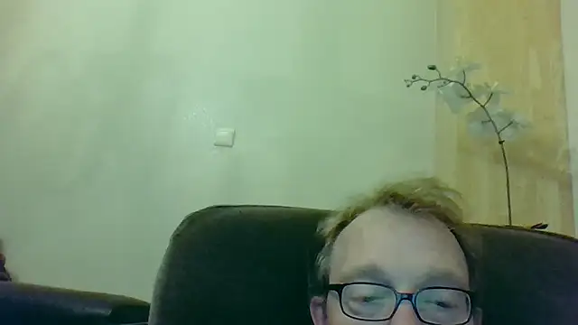 bertolini Show Webcam