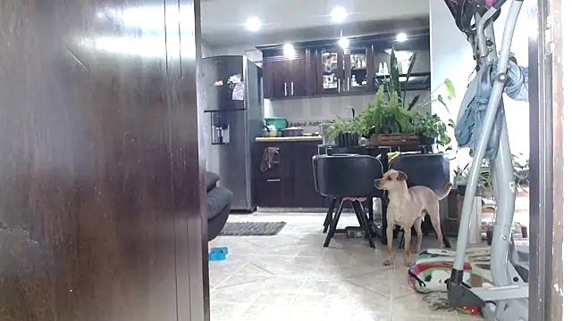 Diosasky – Live XXX-chat