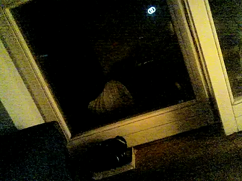 SirNefastus Adlı Modelin Web Kamerası Şovu