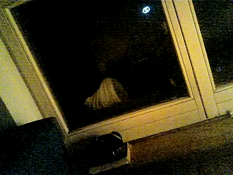 Вебкам-шоу SirNefastus