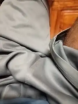 Bengali_BULL1 Webcam-Show