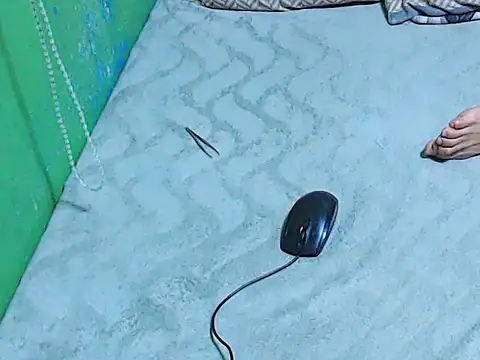 ToiletPlayBarbieDoll Obrolan Langsung XXX