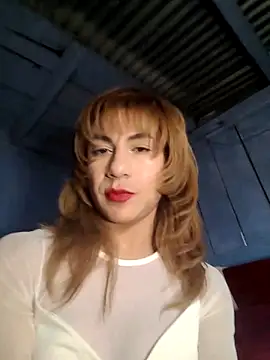 Evehamp 网络视讯表演