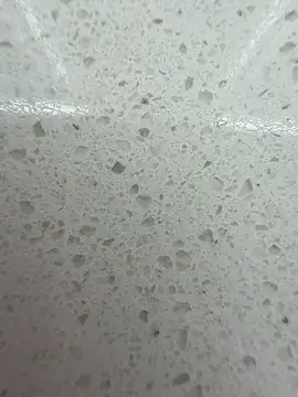 Show webcam de Pomloposho