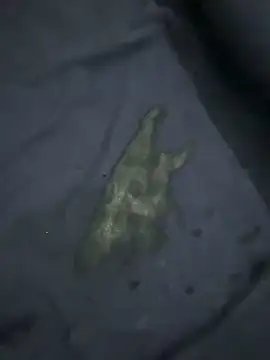 hahinano1 Pertunjukan Webcam