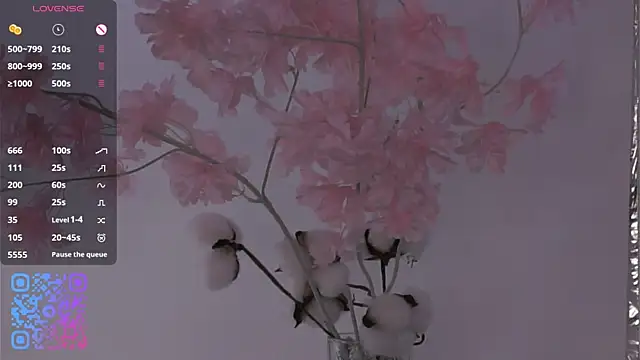 HannaHayles 现场XXX聊天