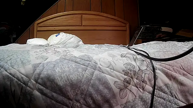 mms1316のウェブカメラショー