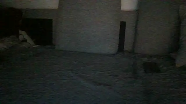 chichoplus: διαδικτυακό σόου στην κάμερα