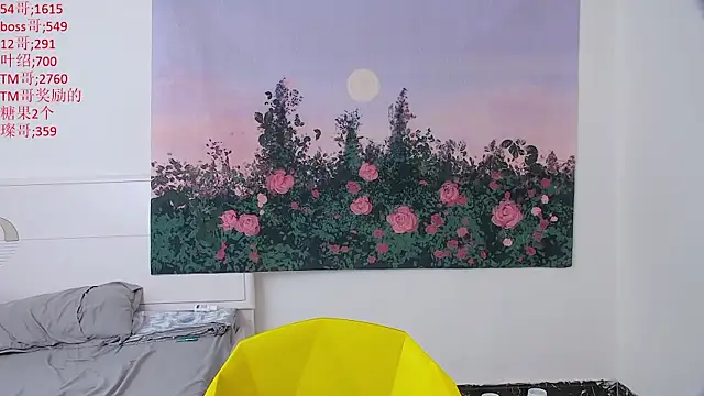 Show modela KK-cuteboy na web-kameri