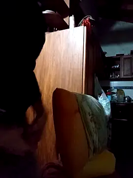 Toro18x4のウェブカメラショー