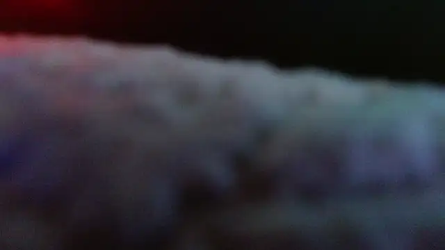 Heracles00 Webcam Show