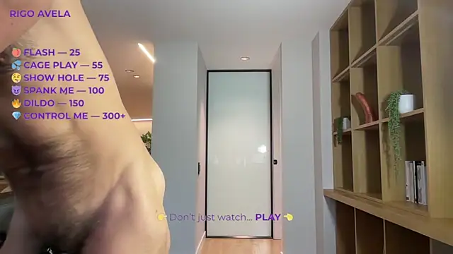 Show webcam de rigoavela