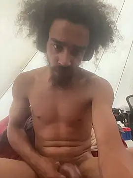 Show webcam de Mrvanillaa