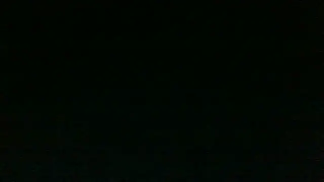 Pertunjukan Kamera Web chichoplus