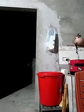 Sgs594802799 网络视讯表演