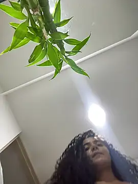 Show webcam de Curlyierr