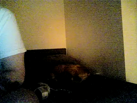 Show Webcam de SirNefastus