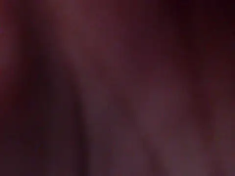 _Bellatrixy_ Pertunjukan Webcam