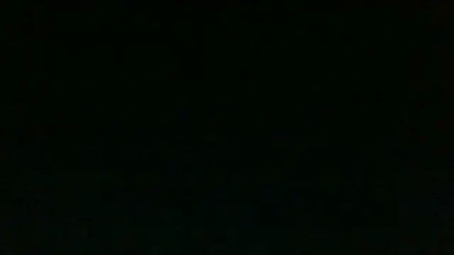 Pertunjukan Kamera Web chichoplus